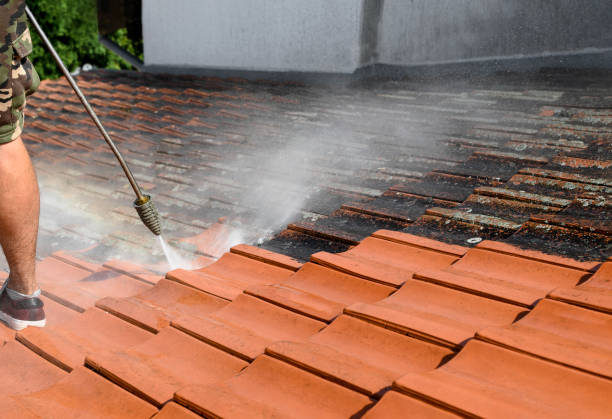Best Power Washing Near Me  in Stanton, MI