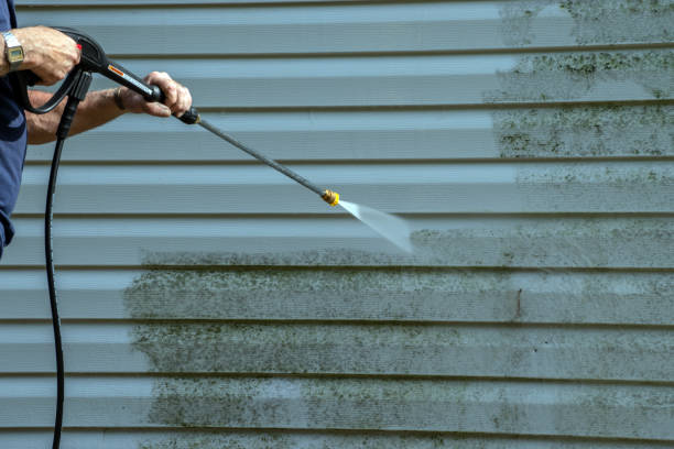 Best Pressure Washing Near Me  in Stanton, MI