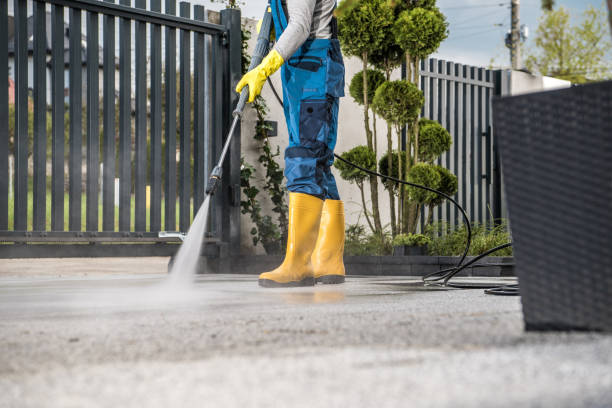Best Affordable Pressure Washing  in Stanton, MI
