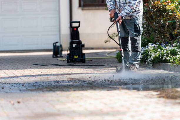 Best Power Washing Near Me  in Stanton, MI
