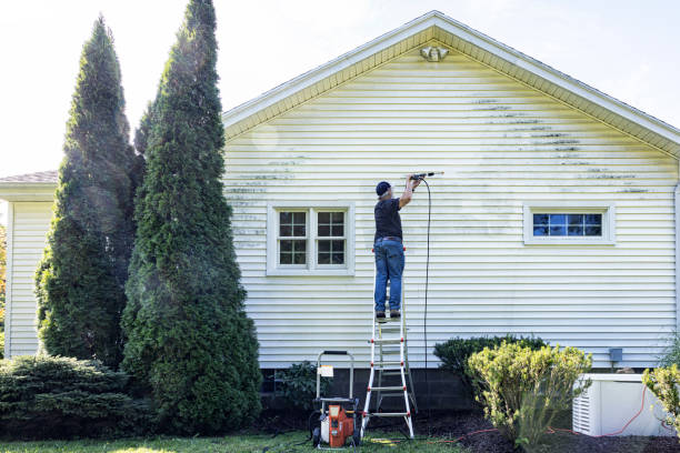 Pressure Washing Contractors in Stanton, MI