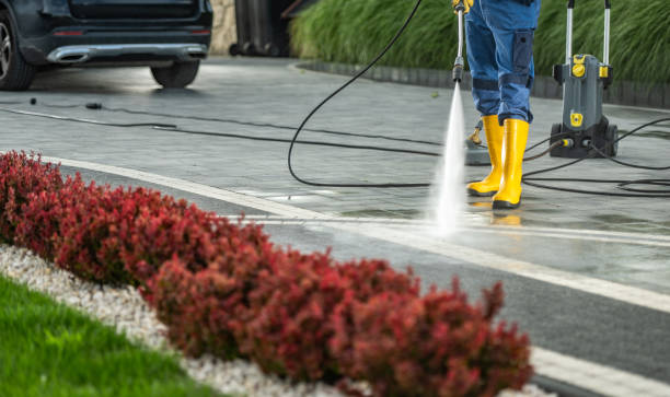Best Roof Power Washing Services  in Stanton, MI