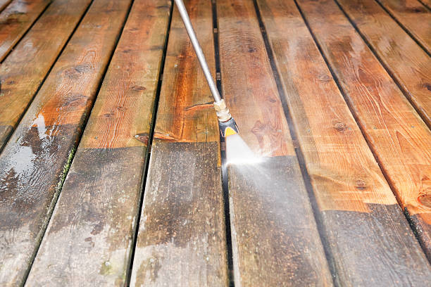Best Best Pressure Washing Companies  in Stanton, MI