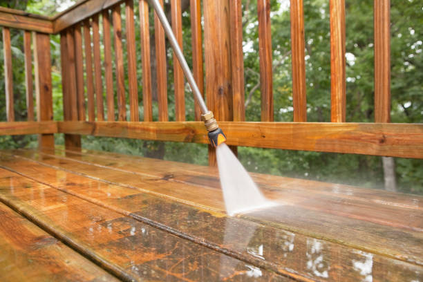 Best Deck Cleaning Services  in Stanton, MI