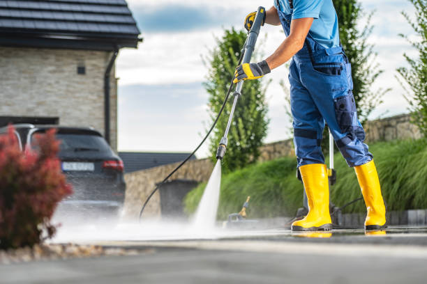 Best Roof Pressure Washing  in Stanton, MI