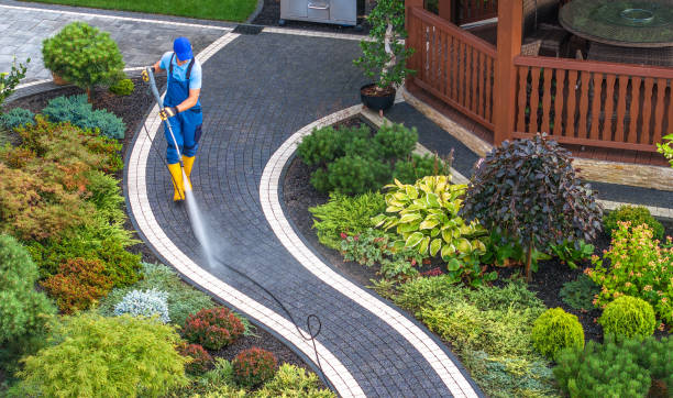 Best Pressure Washing Near Me  in Stanton, MI
